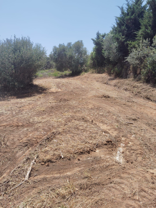 Parcela en venta en Sotogrande Alto